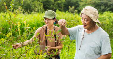 Explore the powerful natural ingredients in Joint Genesis and how they work together to promote joint health and comfort.