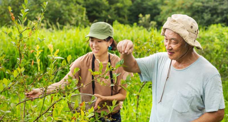 Explore the powerful natural ingredients in Joint Genesis and how they work together to promote joint health and comfort.